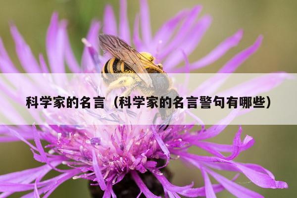 科学家的名言（科学家的名言警句有哪些）