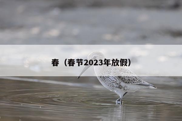 春（春节2023年放假）