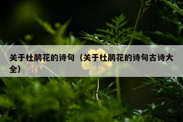 关于杜鹃花的诗句（关于杜鹃花的诗句古诗大全）