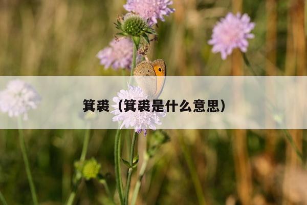 箕裘（箕裘是什么意思）