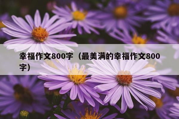 幸福作文800字（最美满的幸福作文800字）