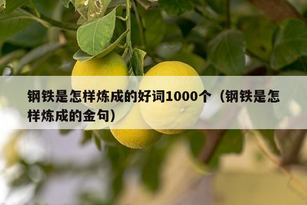 钢铁是怎样炼成的好词1000个（钢铁是怎样炼成的金句）