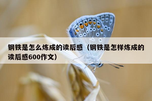 钢铁是怎么炼成的读后感（钢铁是怎样炼成的读后感600作文）