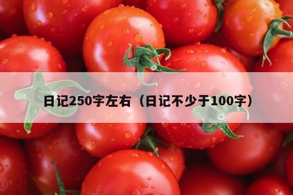 日记250字左右（日记不少于100字）