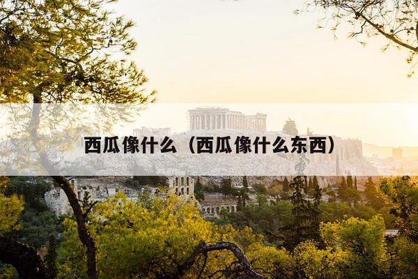 西瓜像什么（西瓜像什么东西）