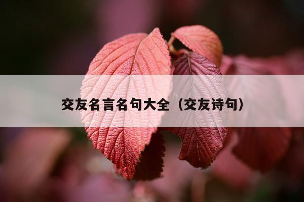 交友名言名句大全（交友诗句）