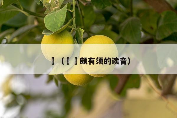 鬑（鬑鬑颇有须的读音）