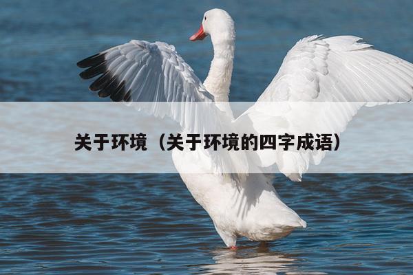 关于环境（关于环境的四字成语）