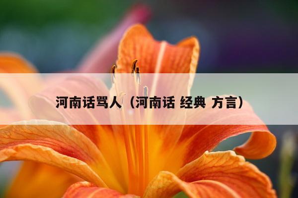 河南话骂人（河南话 经典 方言）