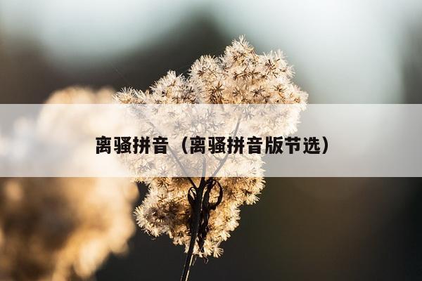 离骚拼音（离骚拼音版节选）