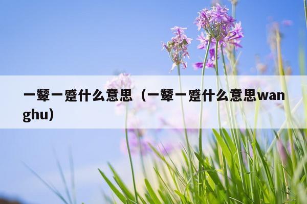 一颦一蹙什么意思（一颦一蹙什么意思wanghu）