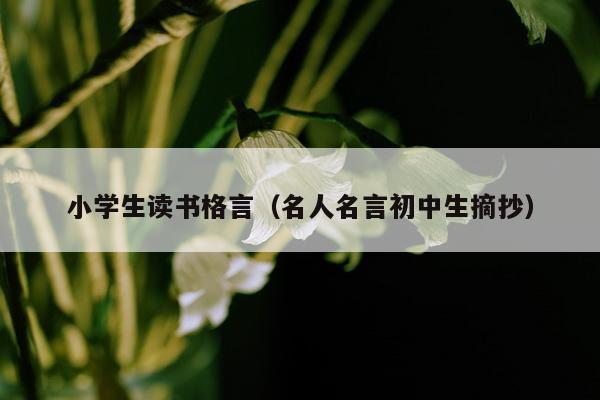 小学生读书格言（名人名言初中生摘抄）