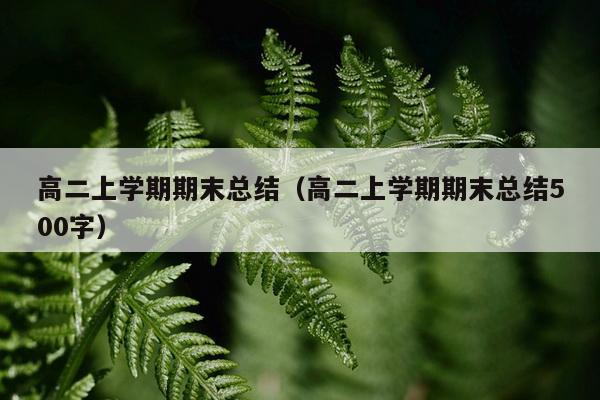 高二上学期期末总结（高二上学期期末总结500字）