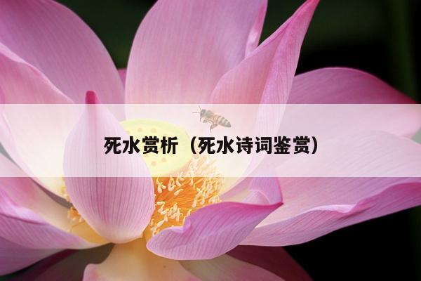 死水赏析（死水诗词鉴赏）