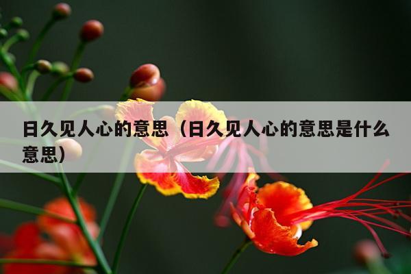 日久见人心的意思（日久见人心的意思是什么意思）