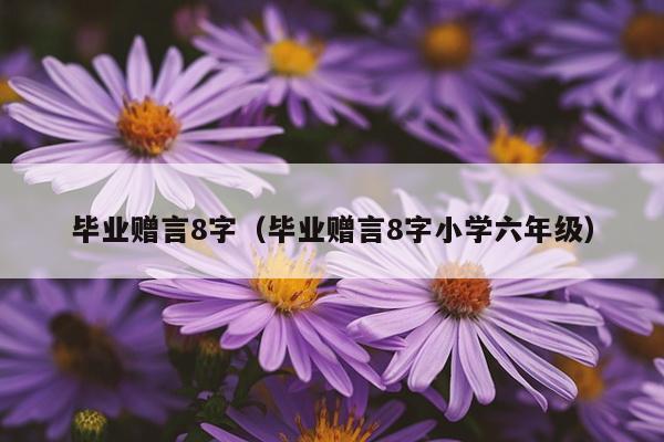 毕业赠言8字（毕业赠言8字小学六年级）