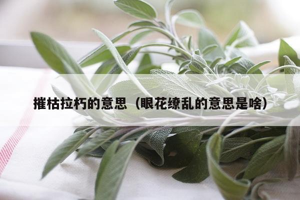 摧枯拉朽的意思（眼花缭乱的意思是啥）