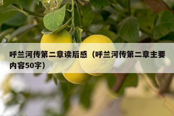 呼兰河传第二章读后感（呼兰河传第二章主要内容50字）