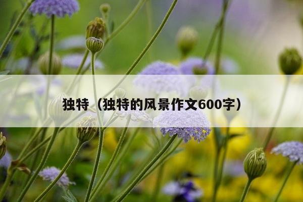 独特（独特的风景作文600字）