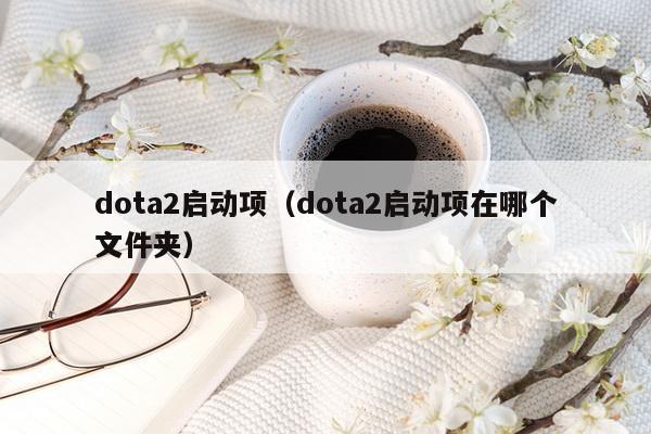 dota2启动项（dota2启动项在哪个文件夹）