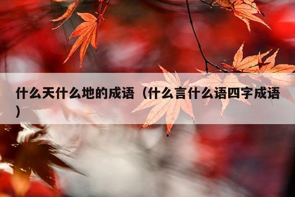 什么天什么地的成语（什么言什么语四字成语）