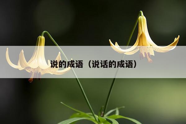 说的成语（说话的成语）