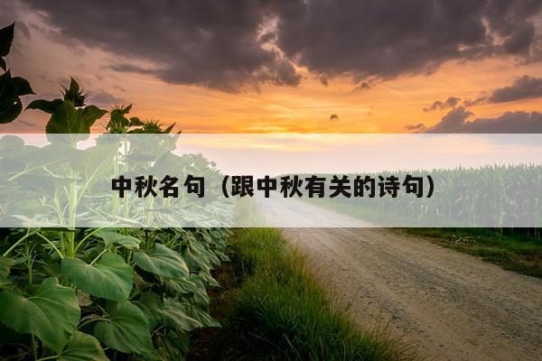 中秋名句（跟中秋有关的诗句）