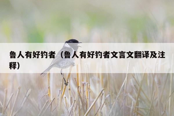 鲁人有好钓者（鲁人有好钓者文言文翻译及注释）