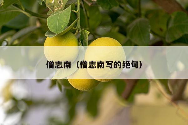 僧志南（僧志南写的绝句）