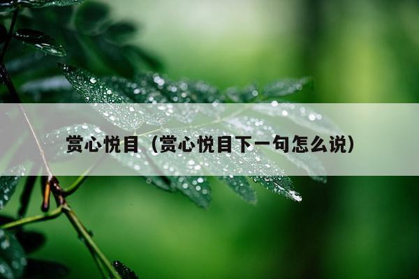 赏心悦目（赏心悦目下一句怎么说）