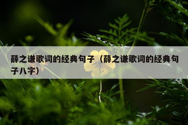 薛之谦歌词的经典句子（薛之谦歌词的经典句子八字）