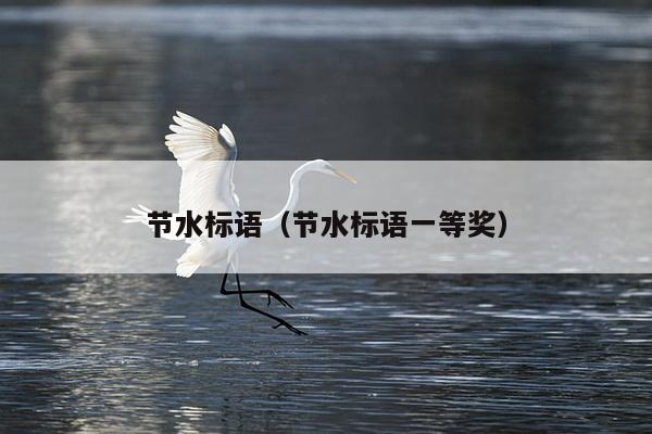 节水标语（节水标语一等奖）