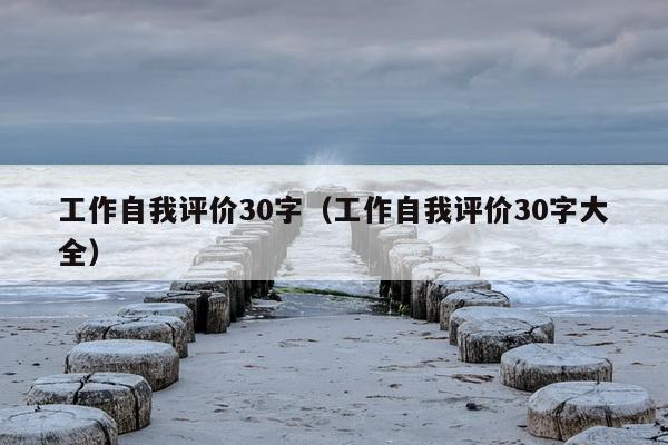 工作自我评价30字（工作自我评价30字大全）