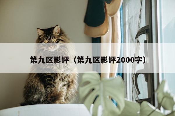 第九区影评（第九区影评2000字）