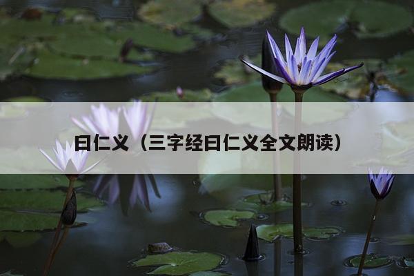 曰仁义（三字经曰仁义全文朗读）