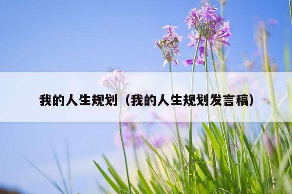 我的人生规划（我的人生规划发言稿）