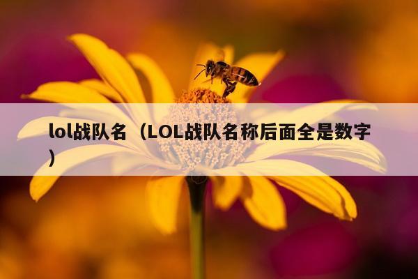 lol战队名（LOL战队名称后面全是数字）