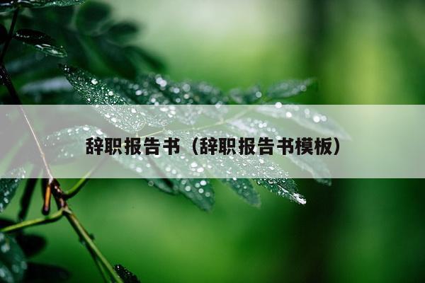 辞职报告书（辞职报告书模板）