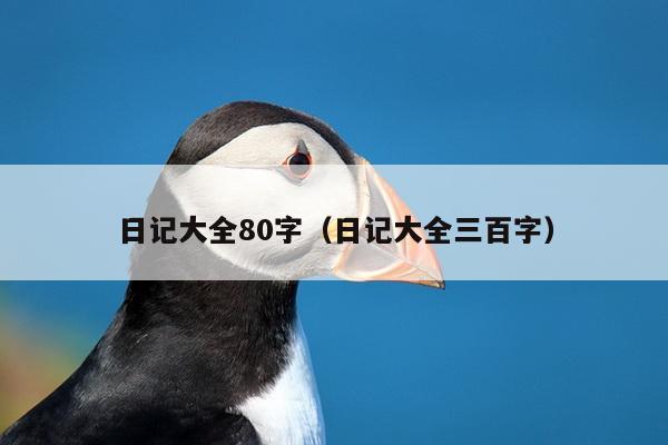 日记大全80字（日记大全三百字）