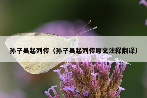 孙子吴起列传（孙子吴起列传原文注释翻译）