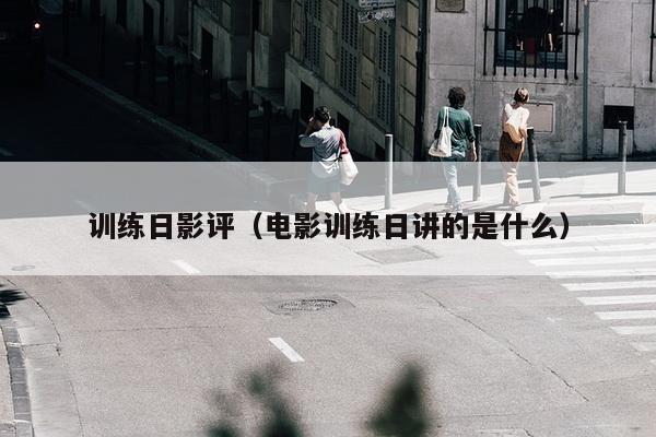 训练日影评（电影训练日讲的是什么）