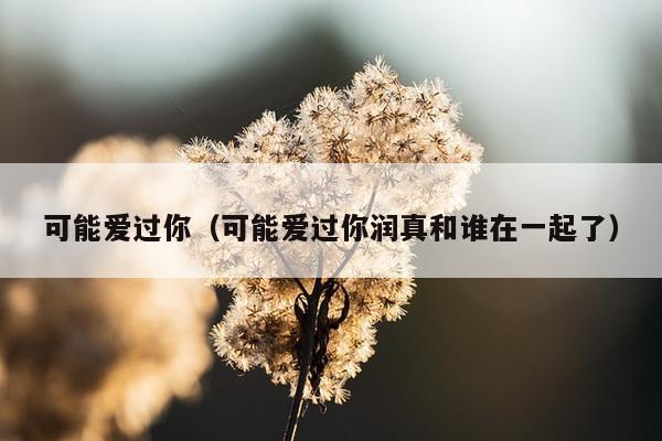 可能爱过你（可能爱过你润真和谁在一起了）