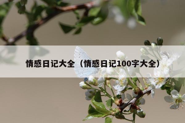 情感日记大全（情感日记100字大全）