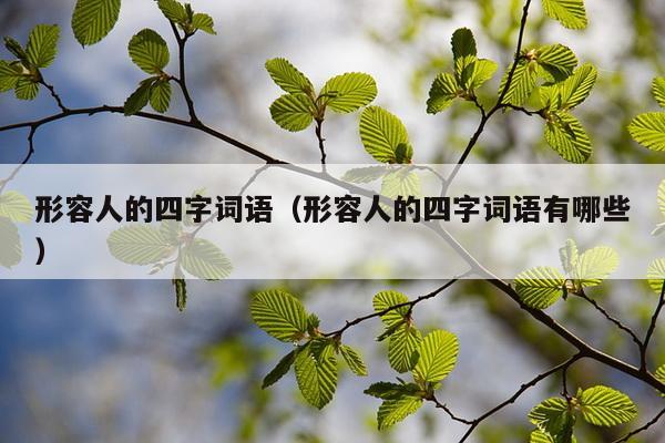 形容人的四字词语（形容人的四字词语有哪些）