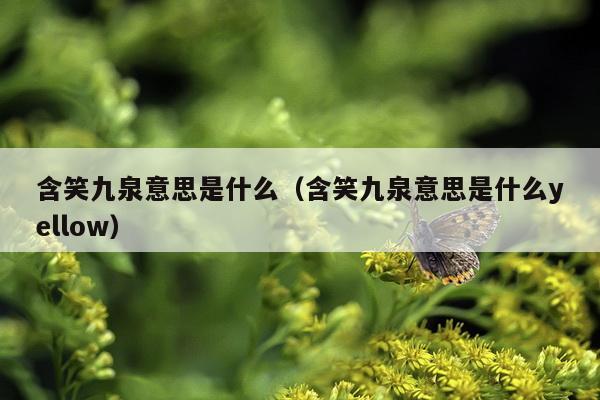 含笑九泉意思是什么（含笑九泉意思是什么yellow）