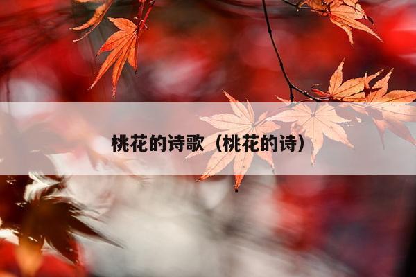 桃花的诗歌（桃花的诗）