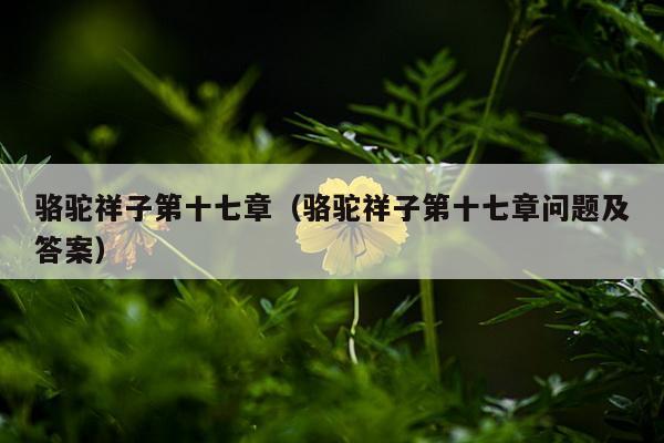 骆驼祥子第十七章（骆驼祥子第十七章问题及答案）