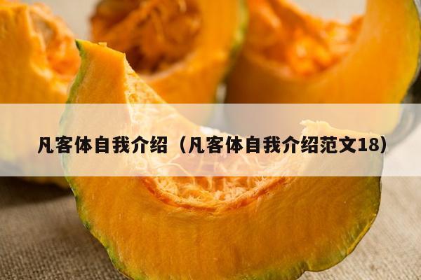 凡客体自我介绍（凡客体自我介绍范文18）