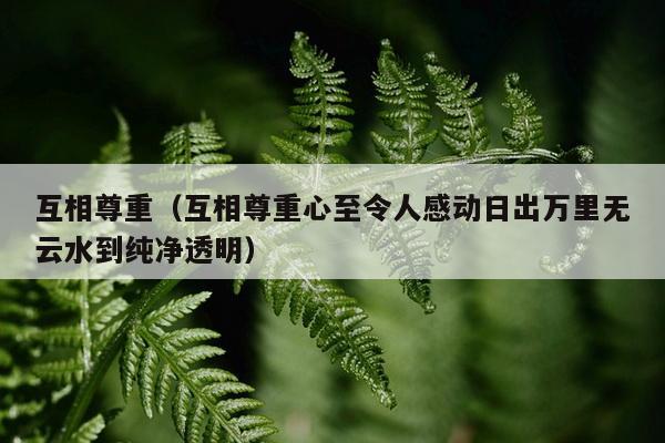 互相尊重（互相尊重心至令人感动日出万里无云水到纯净透明）