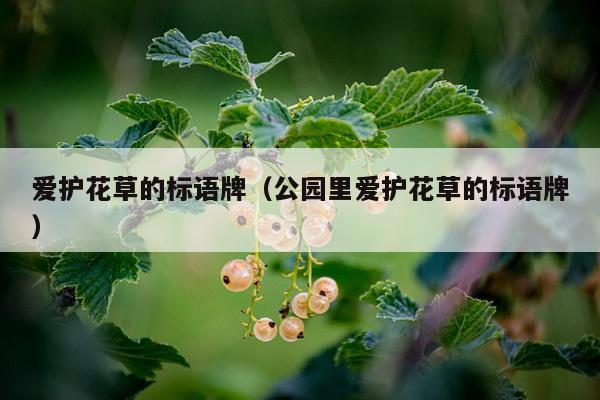 爱护花草的标语牌（公园里爱护花草的标语牌）